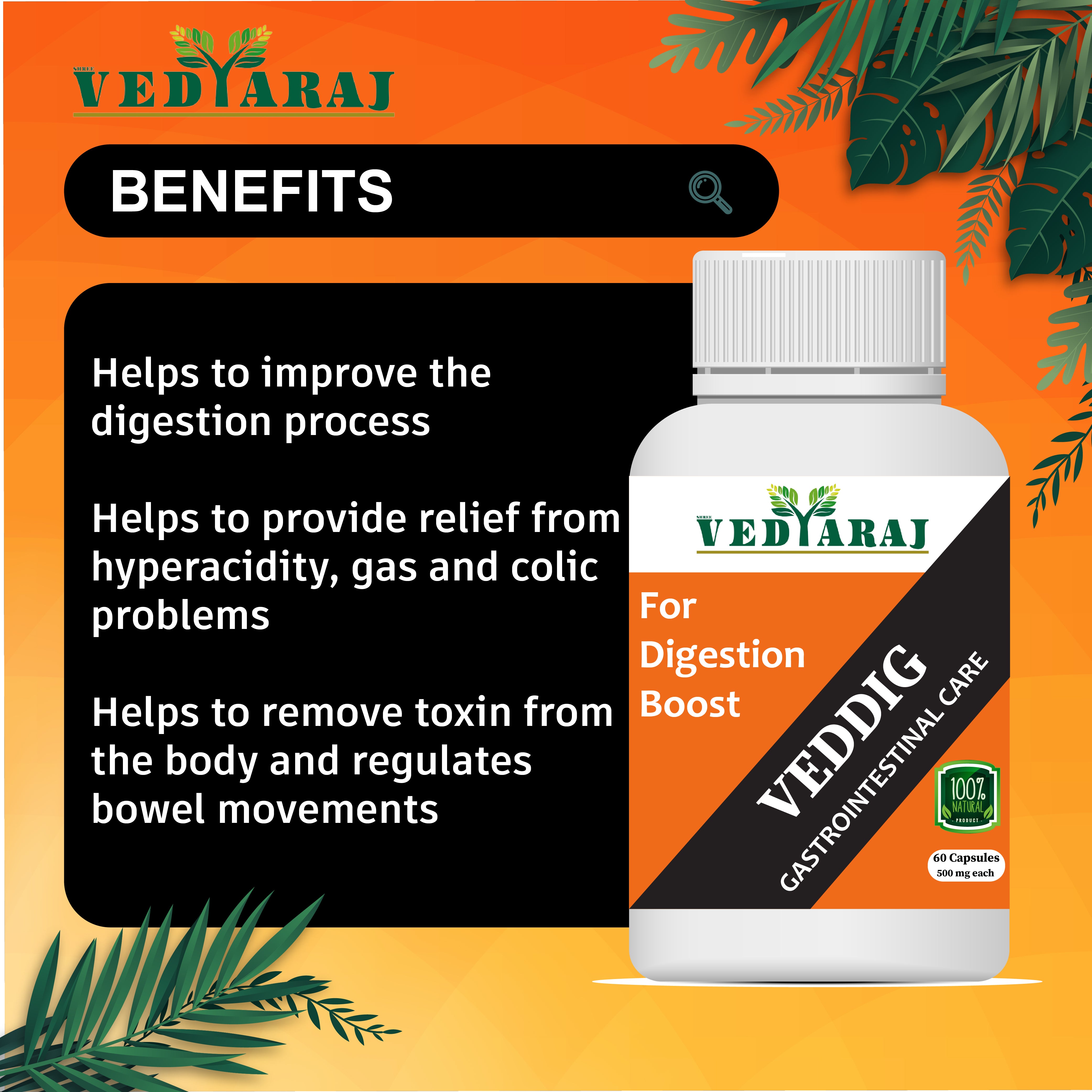 Veddig Ayurvedic Capsules for Digestion and Colic Issues | Pack of 60 Capsules